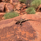 Illustration for article titled AWOL Around Australia... Part 35. The Pilbara. Part 2
